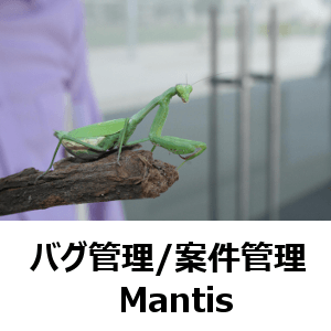 バグ管理　案件管理　Mantis